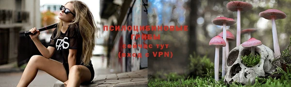 винт Нефтекумск