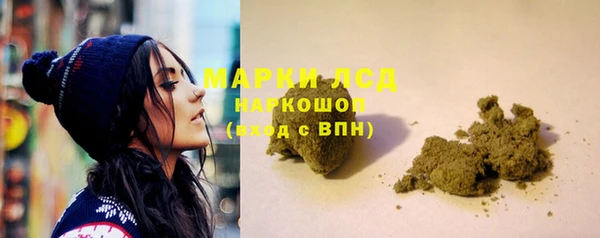 спайс Нея