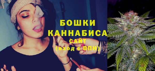 спайс Нея