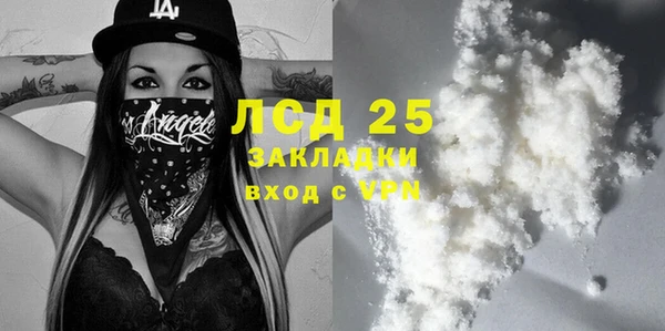 спайс Нея