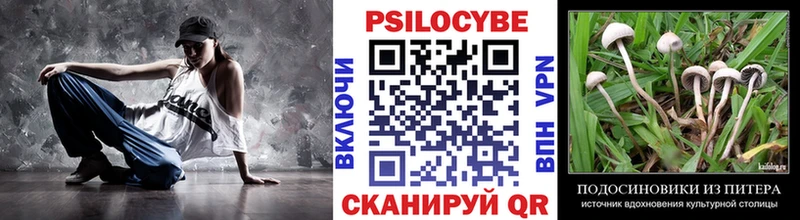 Галлюциногенные грибы Magic Shrooms  Купить  Усть-Кут 